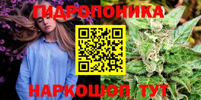 метамфетамин Заводоуковск