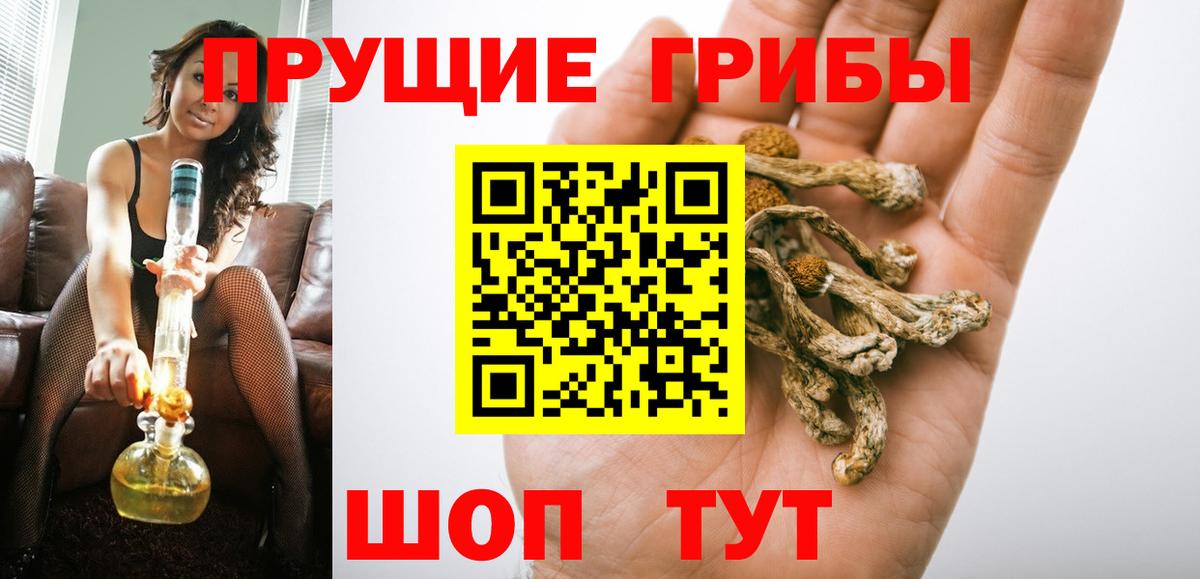 сколько стоит  Галлюциногенные грибы Psilocybine cubensis  Вход с VPN  Елец 