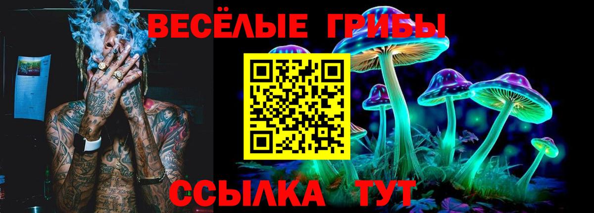 Псилоцибиновые грибы мицелий Елец
